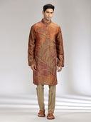 Brown Tissue Silk Embroidered & Printed Kurta Set