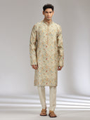 Fawn Tissue Silk Printed Kurta Set