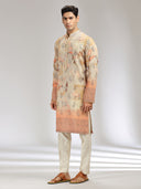 Fawn Tissue Silk Embroidered & Printed Kurta Set