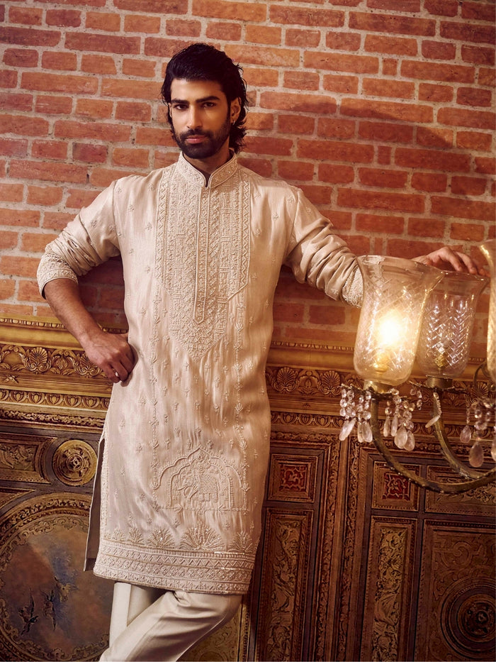 Elegant Fawn Tissue Silk Kurta Set - KORANM