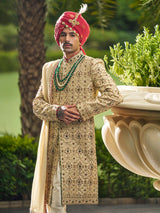Gold Sherwani