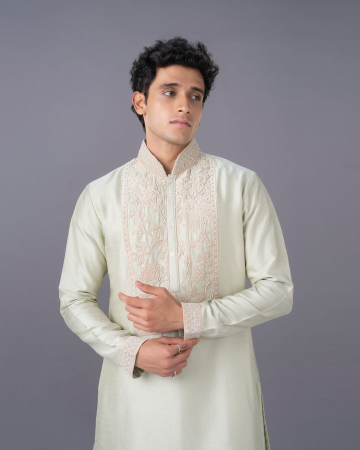 Pista Embroidered Silk Kurta Set with Alighari