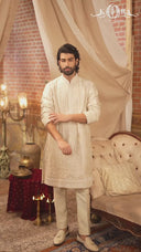 Elegant Fawn Tissue Silk Kurta Set for Men